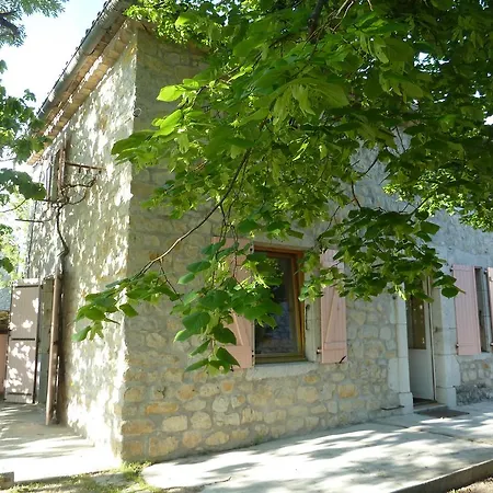 Le Figuier